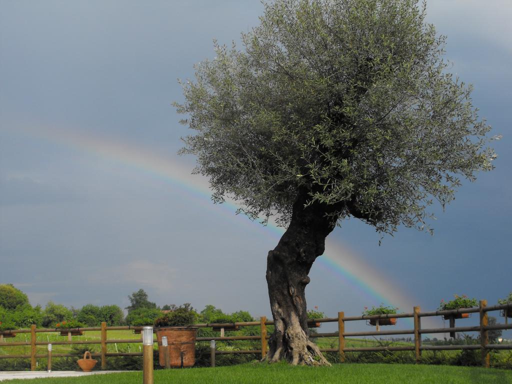 Agriturismo Althea Vittorio Veneto Exterior photo